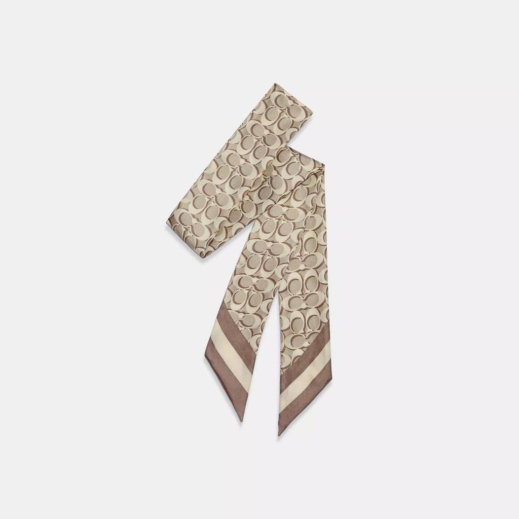Signature Print Silk Skinny Scarf