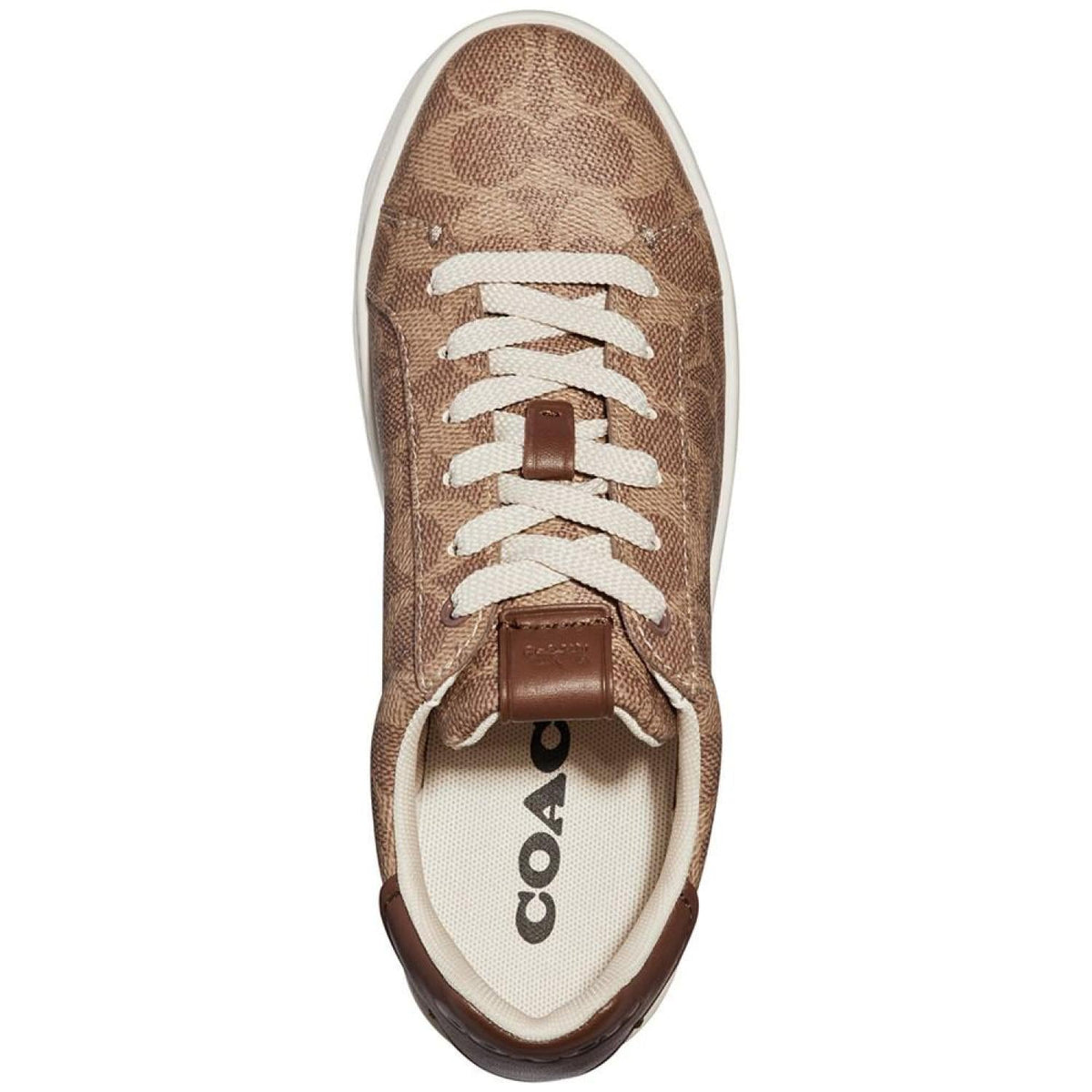 Women's Lowline Signature Lace-up Sneakers