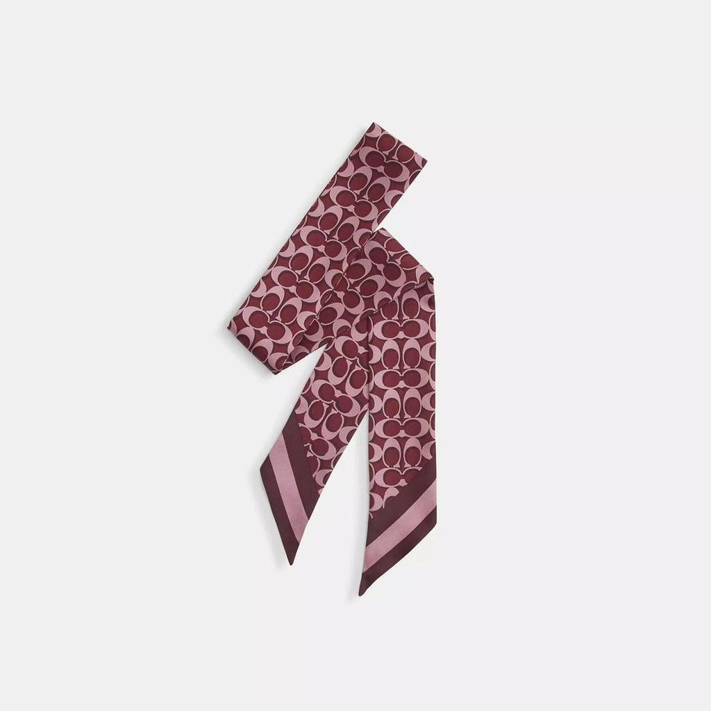 Signature Print Silk Skinny Scarf